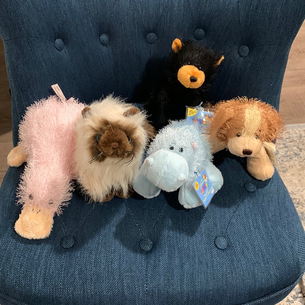 Webkinz